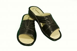 Sanycom Leather Shoes