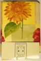 Poppy Dream Vinyl Flannel Back Tablecloth